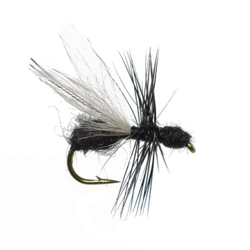 Close-up of The Fly Fishing Place Flying Black Ant dry fly, hand-tied for trout.