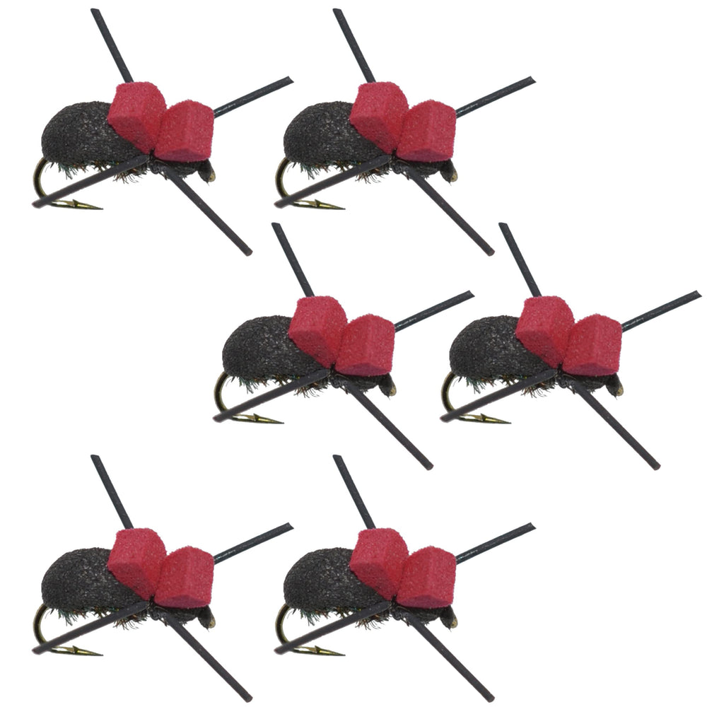 The Fly Fishing Place foam red top black beetle dry fly boosts surface visibility for trout.
