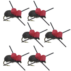 The Fly Fishing Place foam red top black beetle dry fly boosts surface visibility for trout.