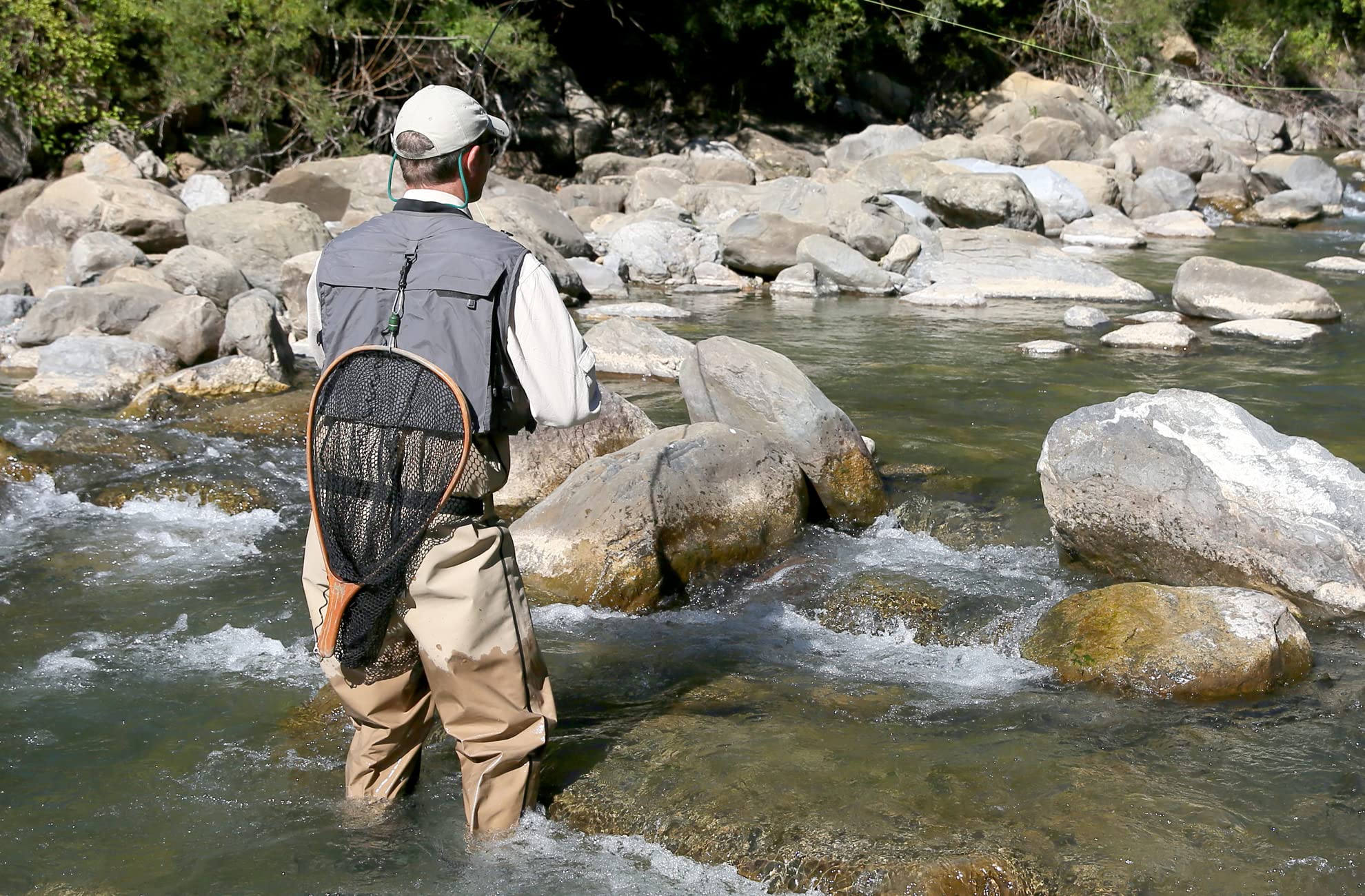 The Fly Fishing Place Griffiths Gnat set of six flies on rack, versatile for stillwater trout.