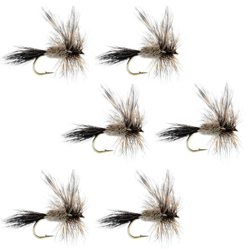 The Fly Fishing Place Irresistible Adams dry fly set, perfect for trout fishing.