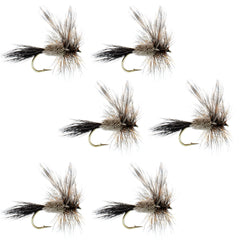 The Fly Fishing Place Irresistible Adams dry fly set, perfect for trout fishing.