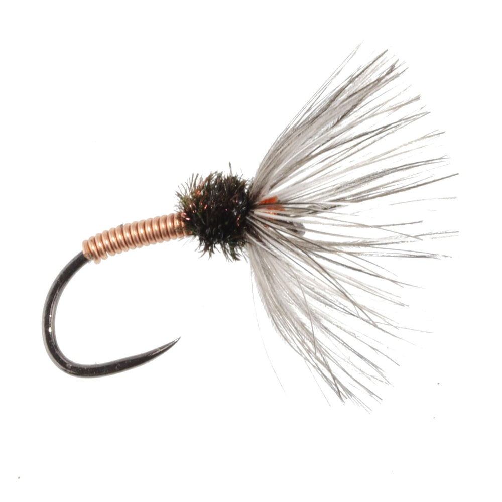 The Fly Fishing Place Kebari Assortment 21-pack ready to fish.
