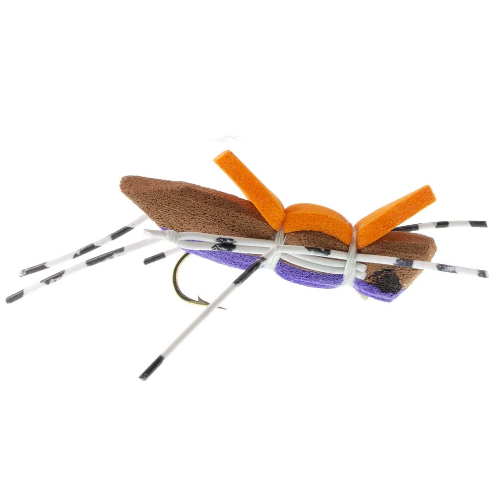 The Fly Fishing Place Morrish Hopper high-visibility dry fly boosts strike chances on sunny days.