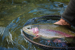 The Fly Fishing Place nymph dropper rig is ready for hopper or indicator setups.