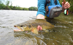 Hand-tied Olive BWO Midge flies from The Fly Fishing Place