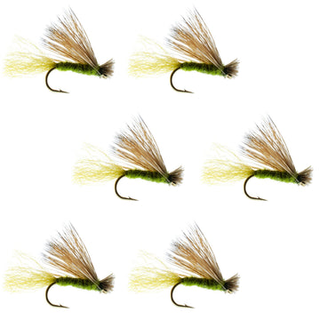 The Fly Fishing Place Olive X Caddis Emerging Dry Fly set of six for surface activity