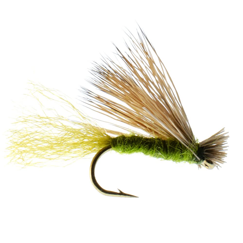 The Fly Fishing Place Olive X Caddis dry fly on slick water