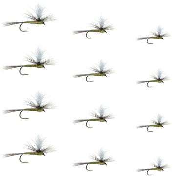 The Fly Fishing Place Parachute BWO dry fly close-up for trout fishing in calm waters.