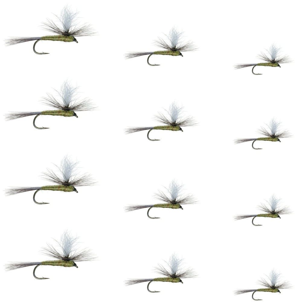 The Fly Fishing Place Parachute BWO dry fly close-up for trout fishing in calm waters.