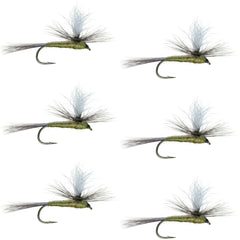 The Fly Fishing Place Parachute BWO dry fly, size 18, ideal for imitating mayflies at the surface.