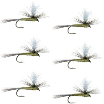 The Fly Fishing Place Parachute BWO dry fly close-up for precise trout presentation.