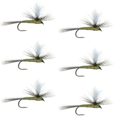 The Fly Fishing Place Parachute BWO dry fly close-up for precise trout presentation.