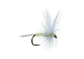 The Fly Fishing Place PMD dry fly on-hook for precise river trout fishing