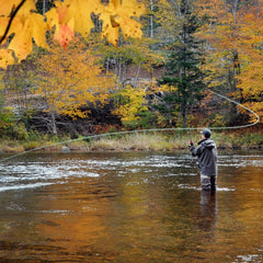 The Fly Fishing Place red V-Rib nymph fly with visible attractor color