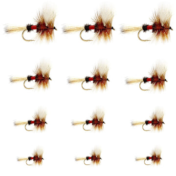 The Fly Fishing Place Royal Wulff Classic dry fly assortment on water surface for trout