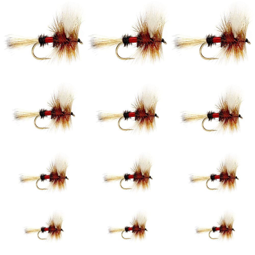 The Fly Fishing Place Royal Wulff Classic dry fly assortment on water surface for trout