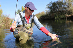 Royal Wulff dry fly 12 designed for trout and panfish with buoyant surface presentation.
