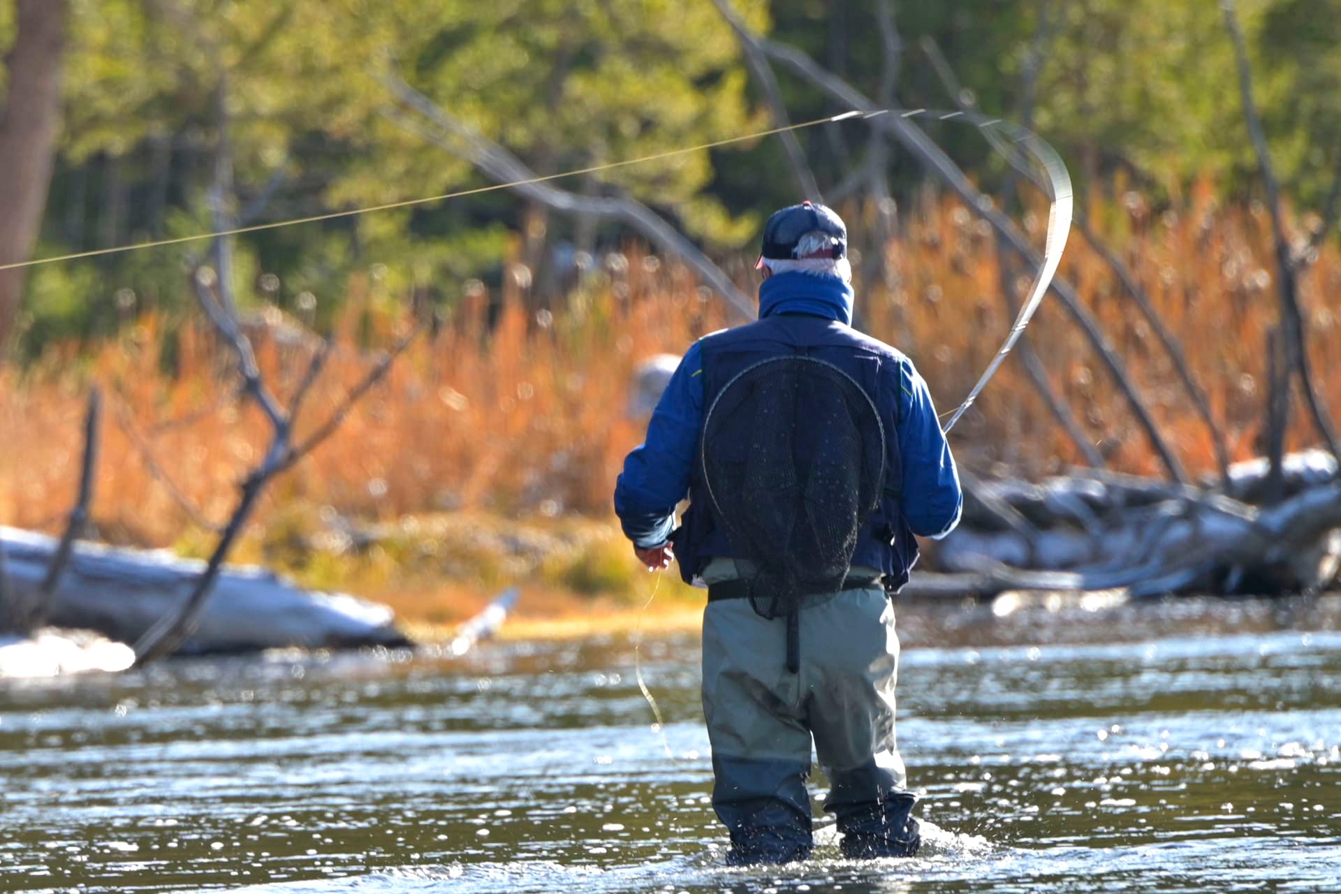 The Fly Fishing Place size 14 beetle dry fly helps anglers imitate falling beetles.