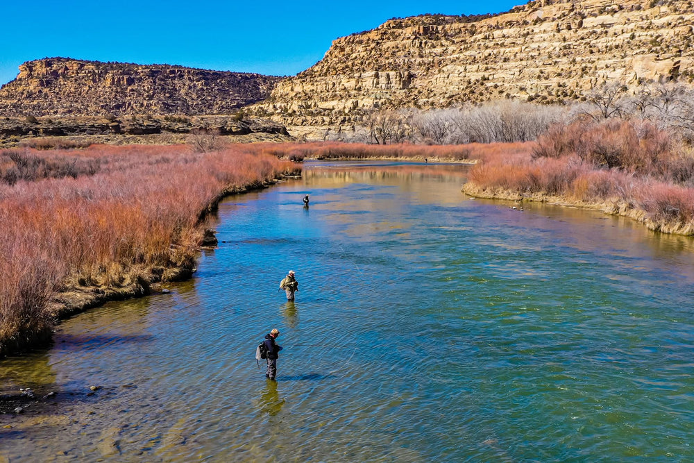 The Fly Fishing Place size 14 six-pack provides trout-focused value
