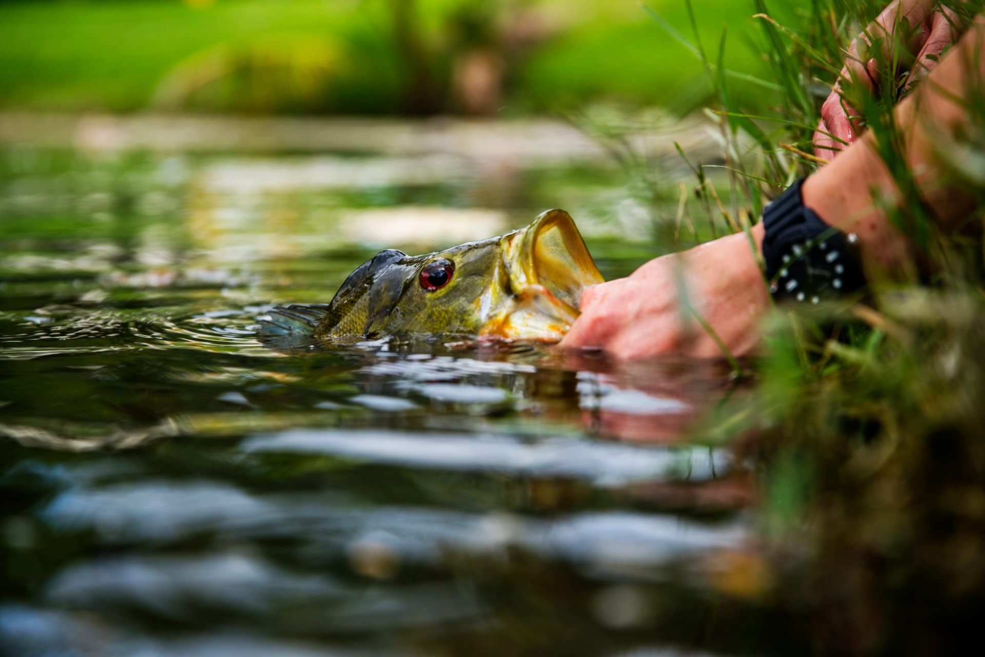 The Fly Fishing Place Six flies on size 8 hooks for versatile angling.