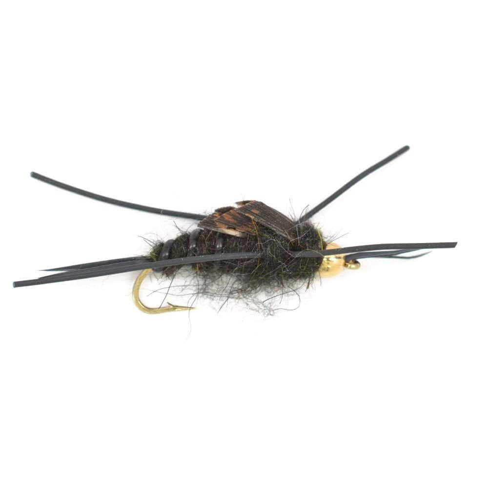 Stone fly nymph on size 8 hook ready for river drift by The Fly Fishing Place