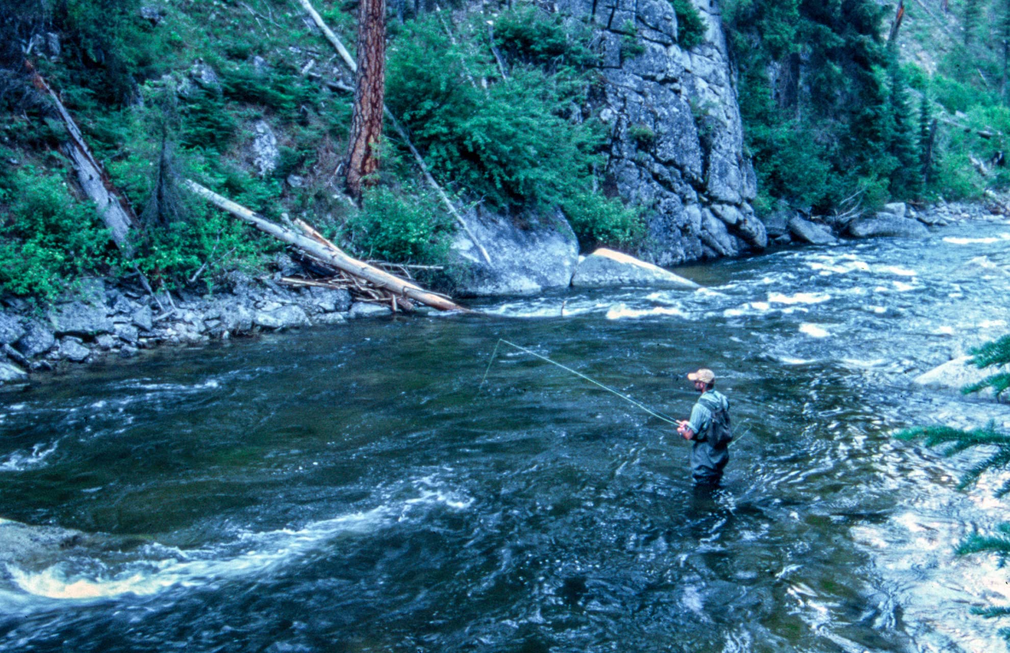 The Fly Fishing Place tactical jig euro nymph fly enhances hookups in nymphing setups.