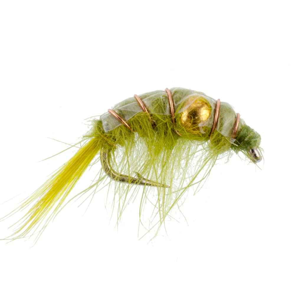 The Fly Fishing Place shrimp scud collection ideal for tailwaters and lakes