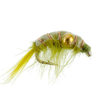 The Fly Fishing Place shrimp scud collection ideal for tailwaters and lakes
