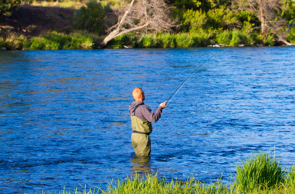 The Fly Fishing Place Terrestrial Fly Assortment features high-visibility foam bodies for easy detection.