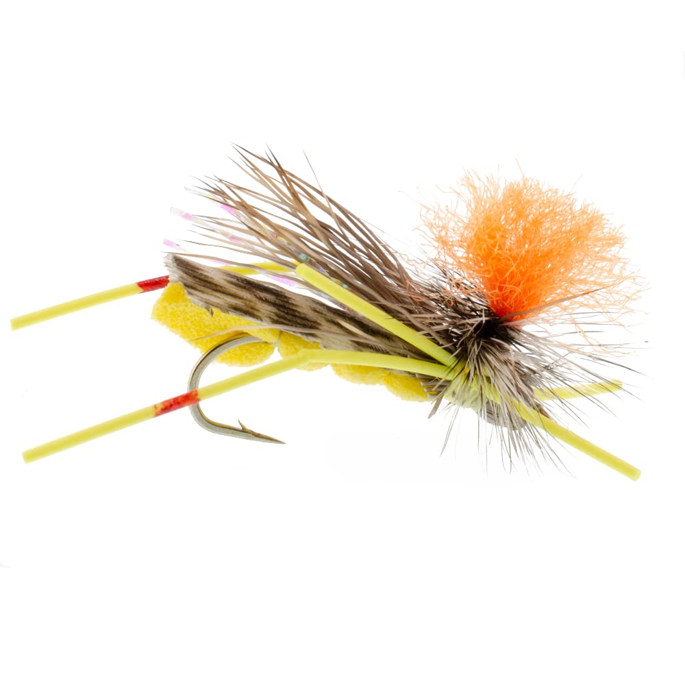 The Fly Fishing Place Terrestrial Fly Assortment in its fly box, ready to cast.
