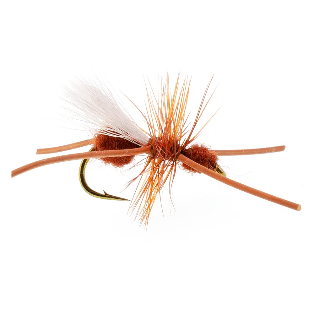 The Fly Fishing Place Turcks Power Ant cinnamon rubber legs closeup showing detailed tying