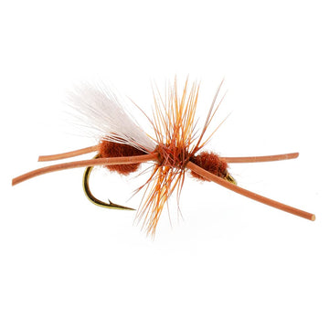 The Fly Fishing Place Turcks Power Ant cinnamon rubber legs closeup showing detailed tying