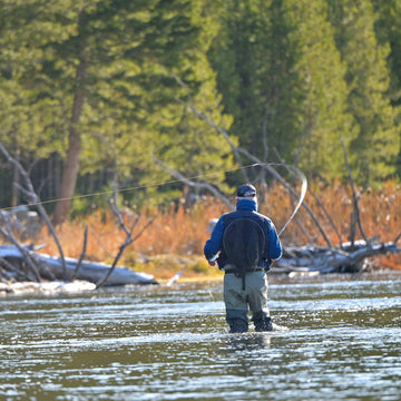 The Fly Fishing Place White Wulff classic mayfly imitator image presents versatile surface fishing.