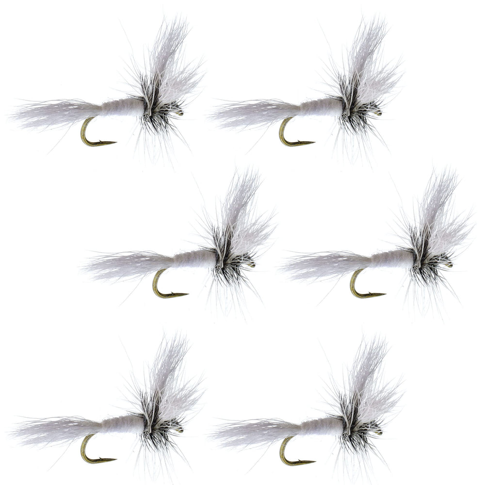 The Fly Fishing Place White Wulff dry fly set 6 size 14 ideal for catching trout.