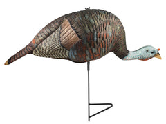 The Grind Bugging Hen Decoy front view showcases lifelike iridescent feathers for realistic turkey attraction.