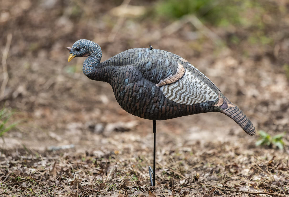 The Grind hen decoy motion-stake assembly demonstrates quick, reliable setup in field conditions.