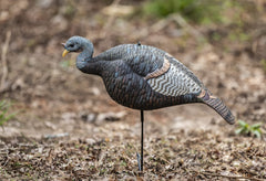 The Grind hen decoy motion-stake assembly demonstrates quick, reliable setup in field conditions.