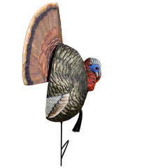The Grind Reaper quarter-body strutter brown full fan ready for added aggression
