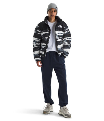 The North Face Evolution Simple Dome Pant logo pocket highlights durable build and style.