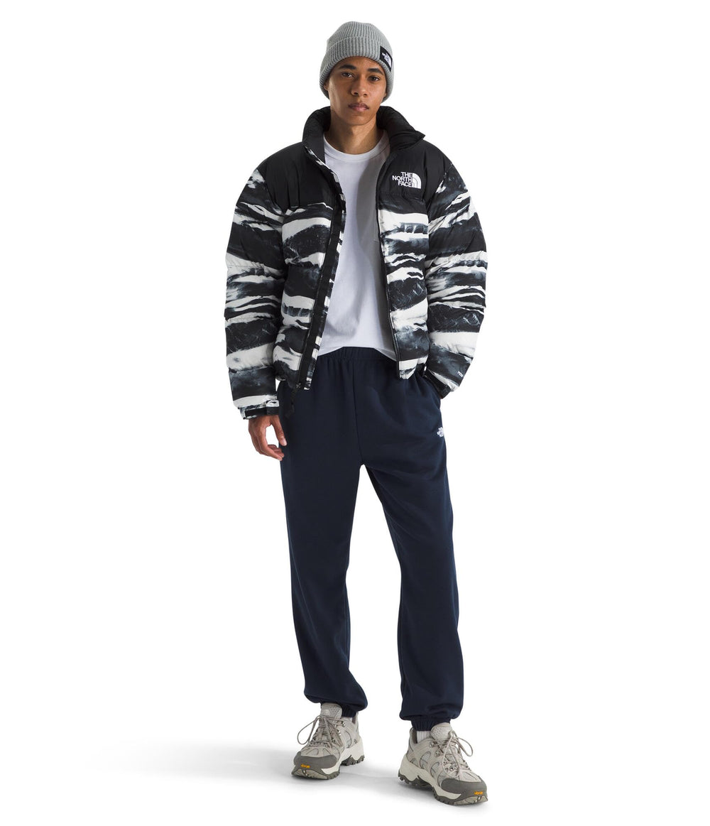 The North Face Evolution Simple Dome Pant logo pocket highlights durable build and style.