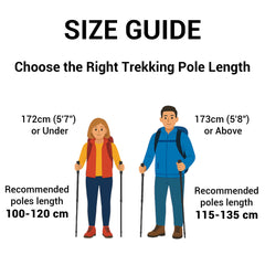 TheFitLife trekking poles metal flip lock maintains stable height changes