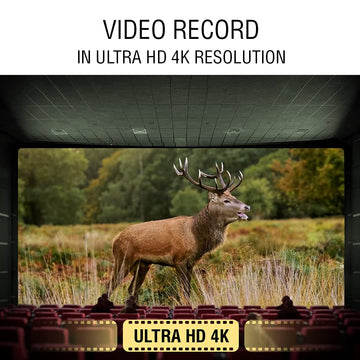 TheOpticGuru ATN Thor 5 ballistic calculator display supports informed shot decisions.
