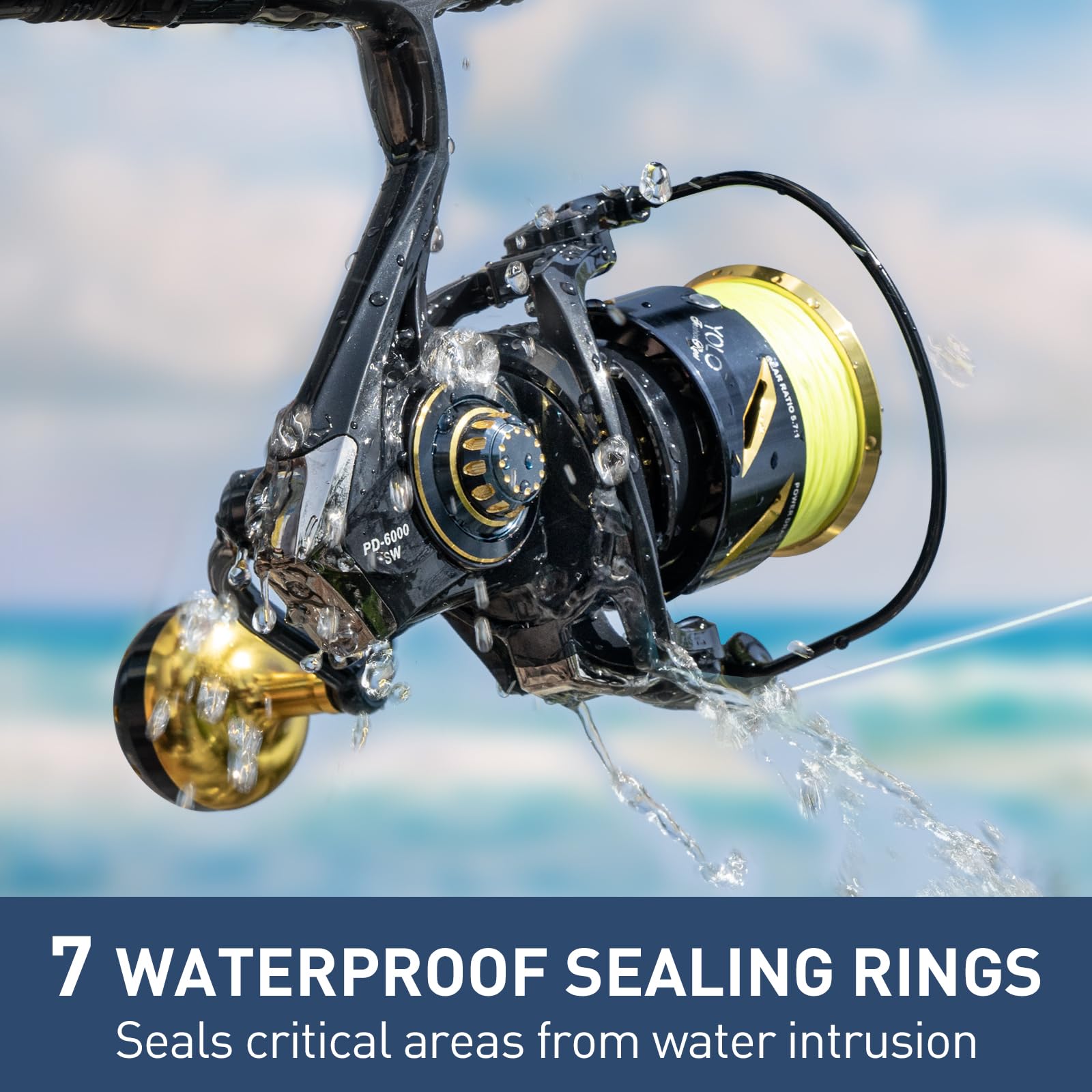 Gear and anti-reverse mechanism close-up