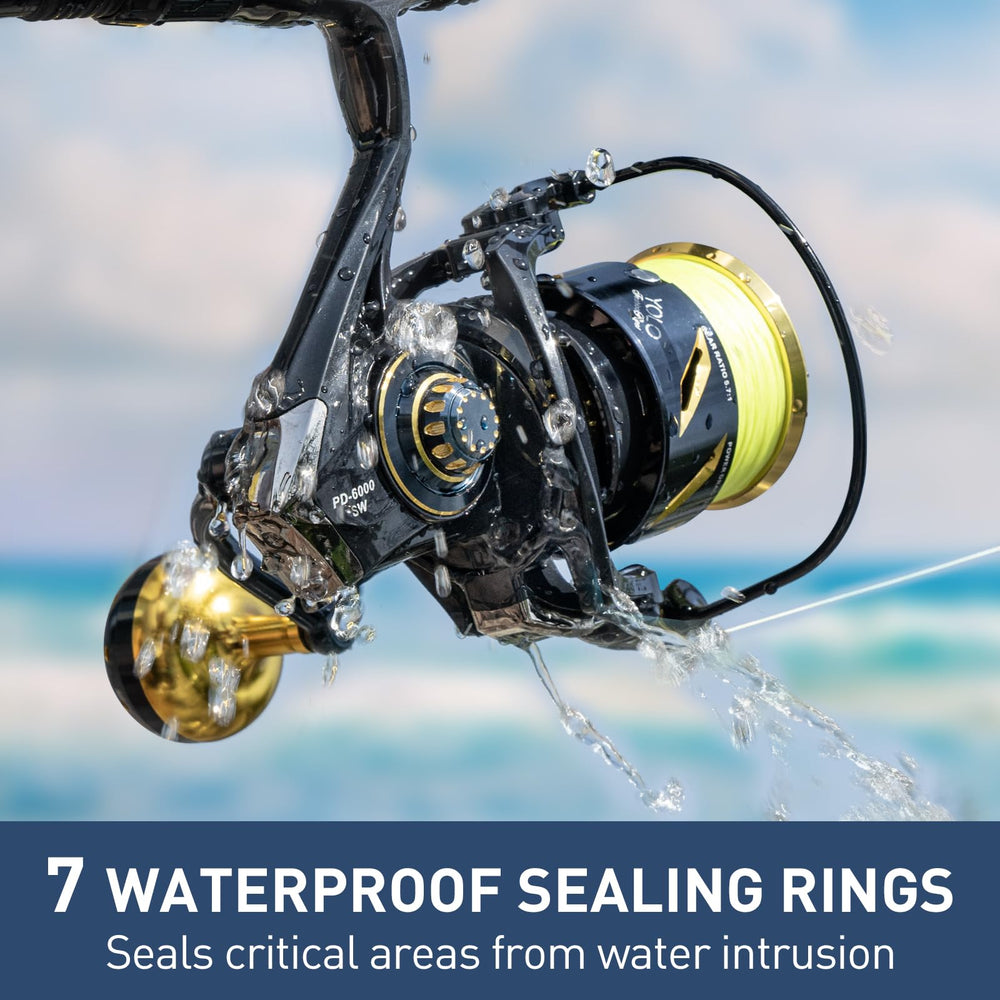 Gear and anti-reverse mechanism close-up