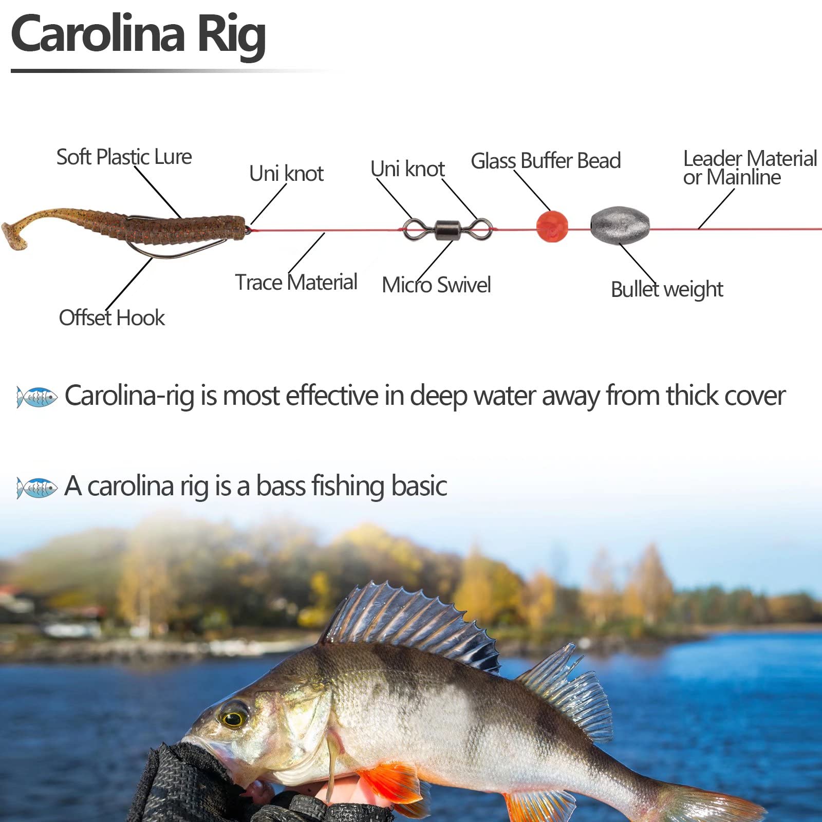 Texas rig components featuring weights and weedless hooks