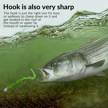High-quality barbed hook on jig head