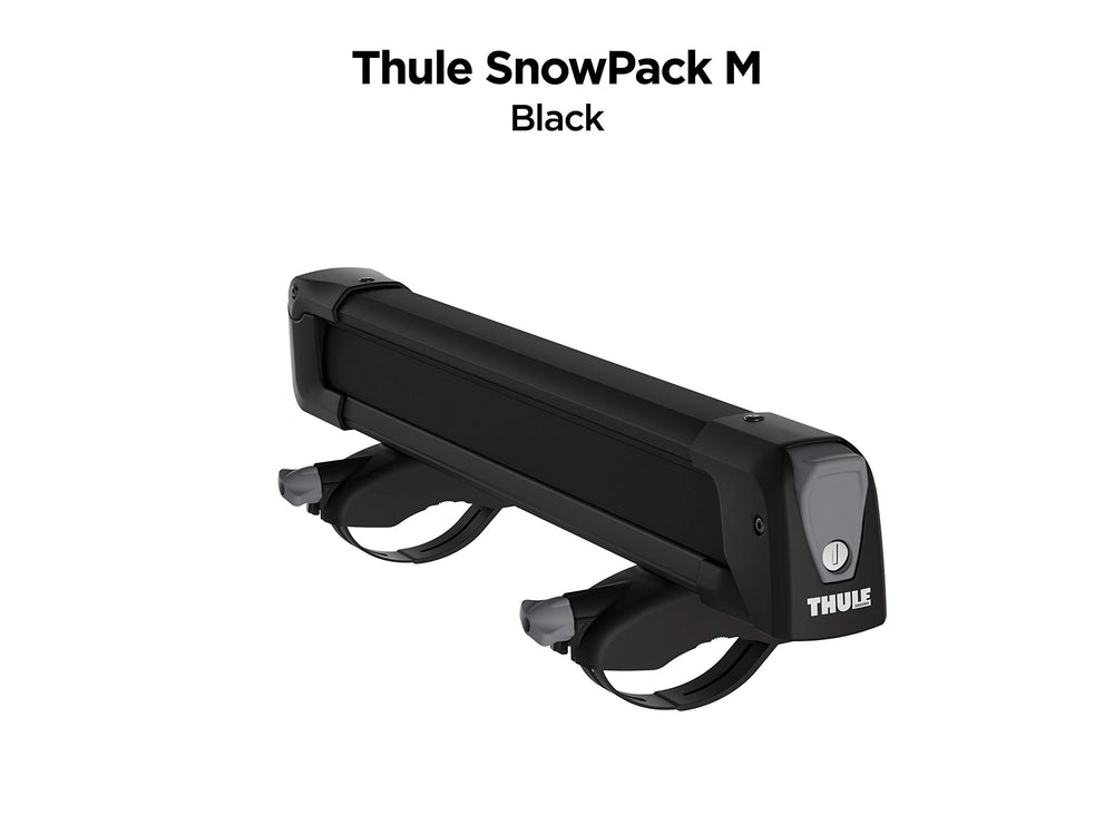 Anti-theft locks secure skis to the carrier.