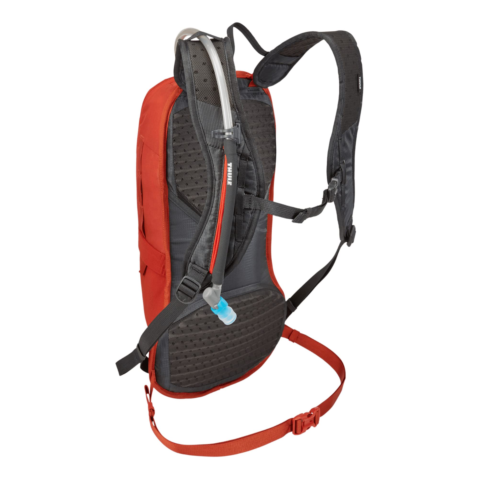 Thule Uptake back view highlights rugged construction for all-day outdoor use.