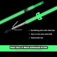 TIGER ARCHERY bowfishing arrow visibility-color bright shaft aids quick sighting